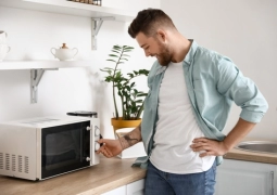 mikrodalga modelleri