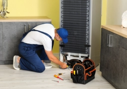 derin dondurucu öneri