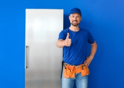 derin dondurucu önerileri