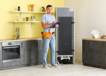 Electrolux Servisi Adalar