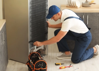 Electrolux Servisi Kartal