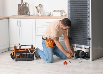 Miele Servisi Güngören