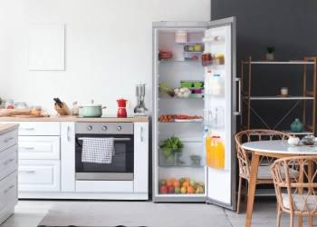 Bosch Kombi Tipi mi No Frost Çift Kapılı Buzdolabı mı?